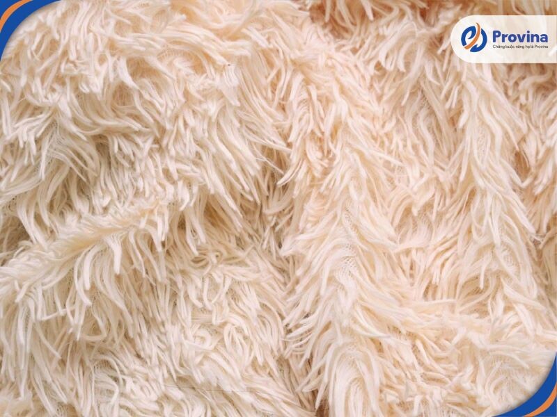 Ưu Và Nhược Điểm Của Vải Polyester Và Cotton Qua Lăng Kính Trải Nghiệm