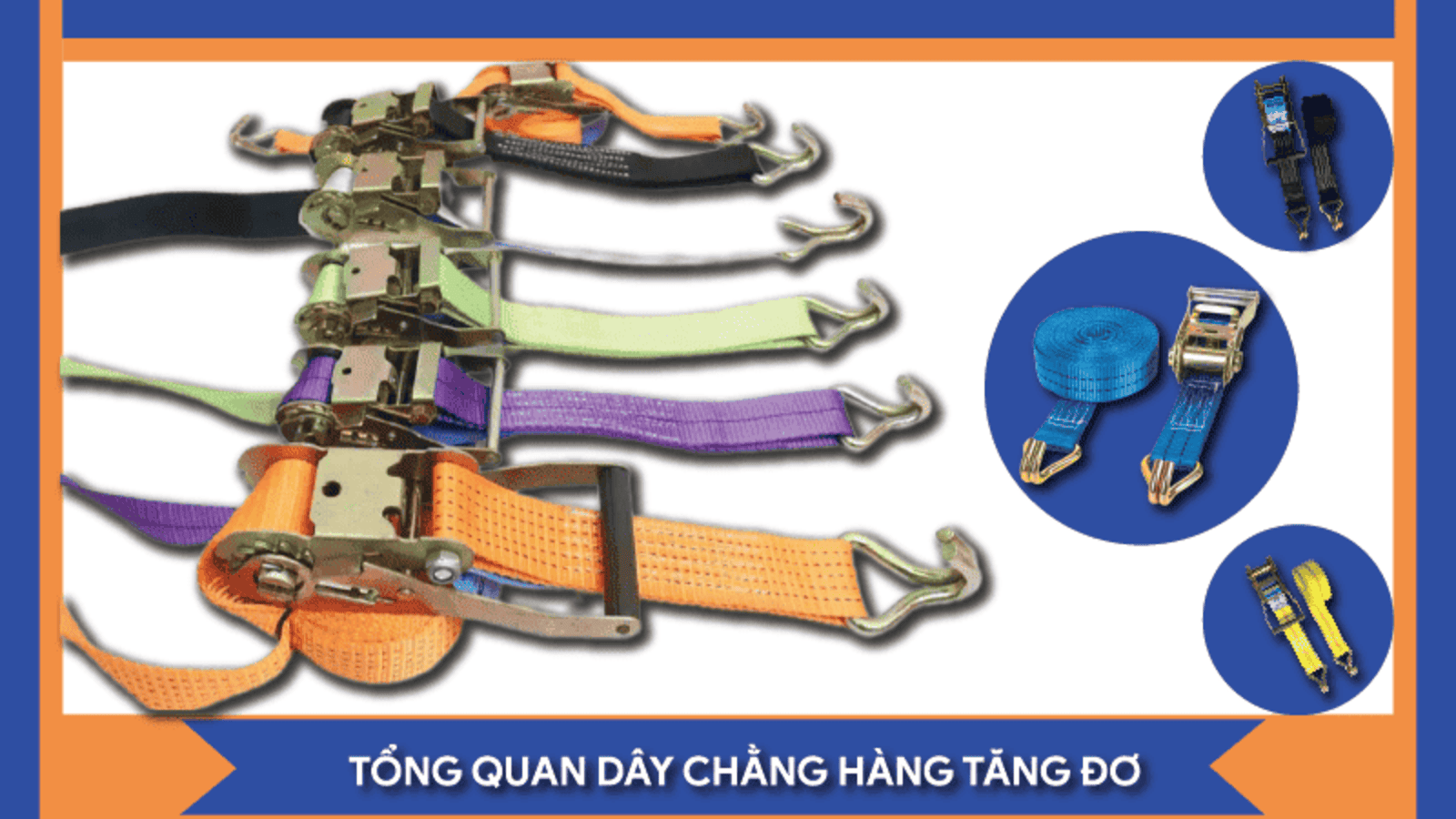 tong-quan-day-chang-hang-tang-do