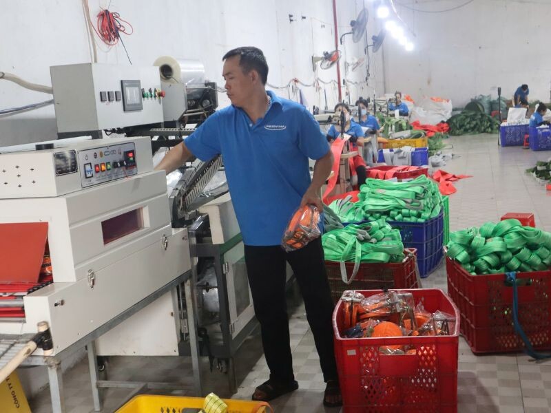 Lý Do Nên Chọn Dây Tăng Đơ Provina